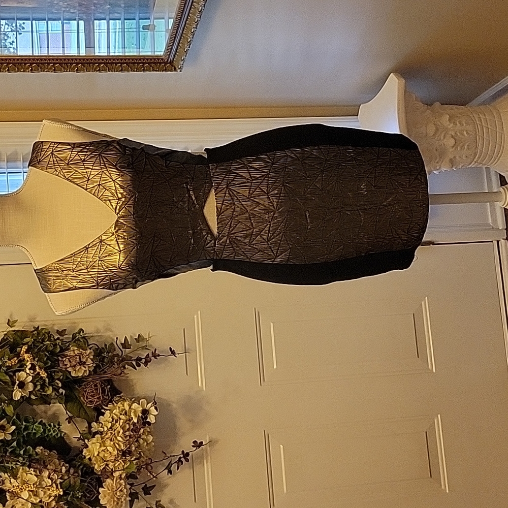 LUSH gold & black metallic fabric & solid black sleeveless cut out waist S EUC…